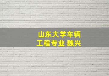 山东大学车辆工程专业 魏兴